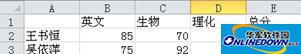 Excel2010