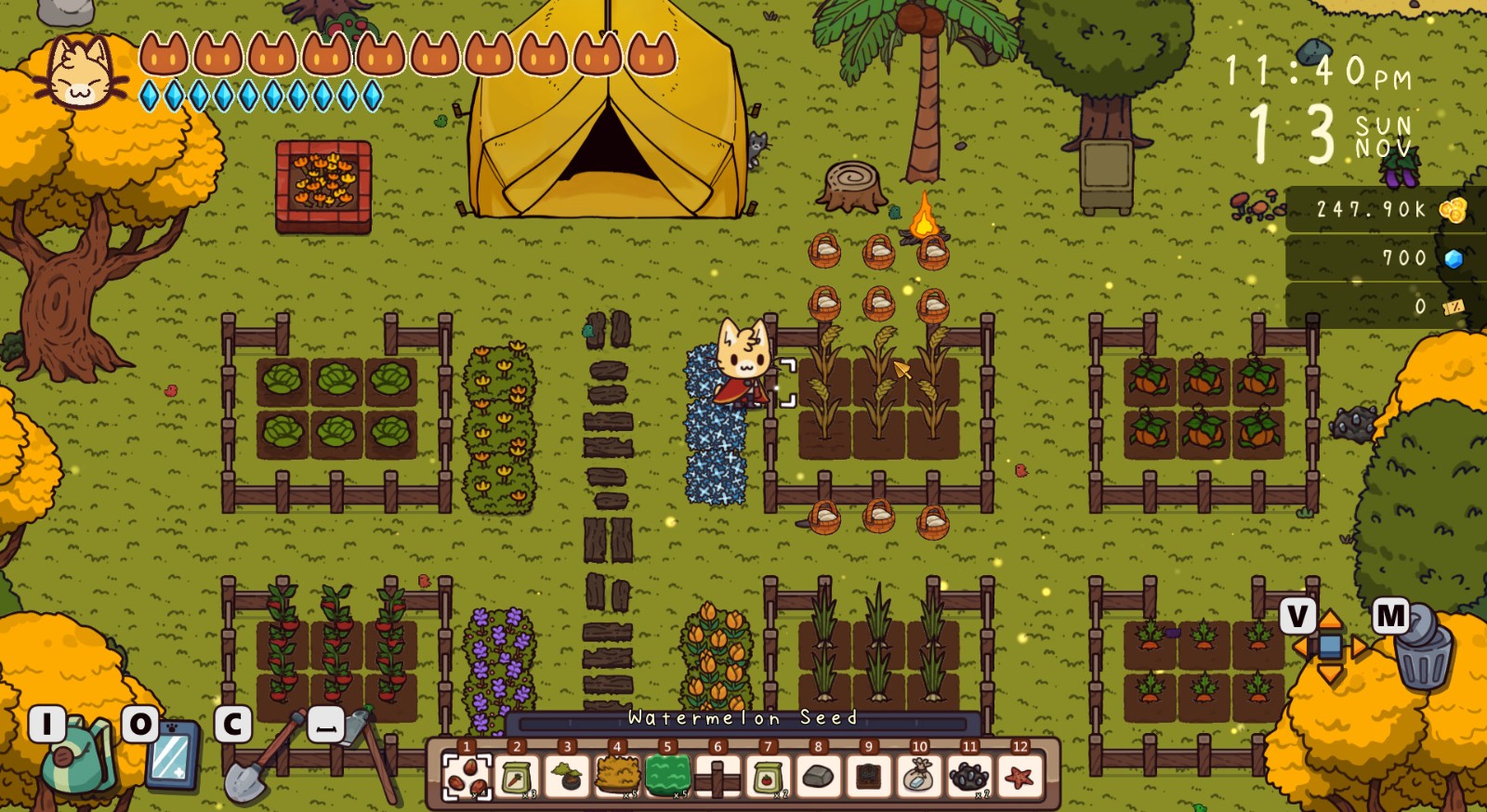休闲新作《旅行猫猫:探险之岛》上架Steam