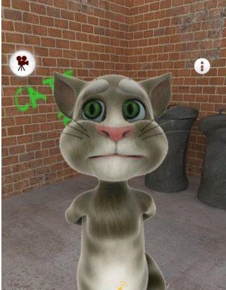 Talking Tom Cat(会说话的汤姆猫)