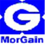 MorGain2020破解版 v1.84